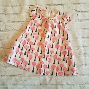 3-6 Month's Baby Shift Dress